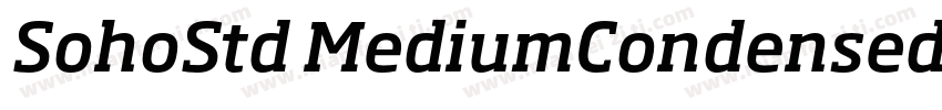 SohoStd MediumCondensed字体转换
